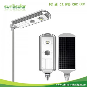 Hot Sale for Led Solar Garden Light - Z66 30W COB Specification – Suntisolar
